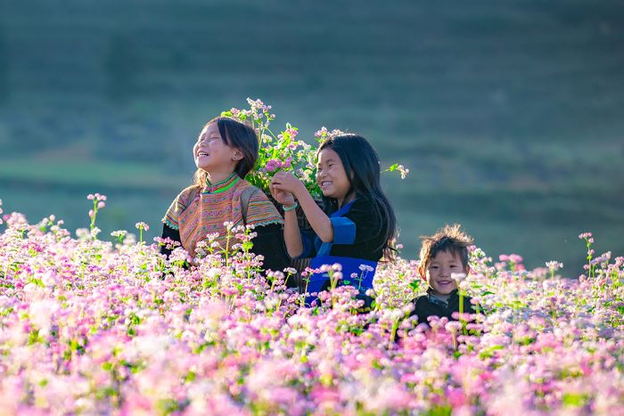 Trải nghiệm những mùa hoa ở Hà Giang. 