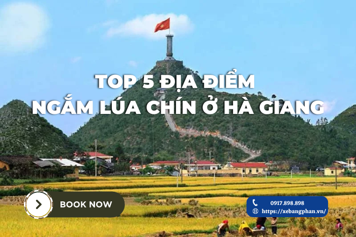 Top 5 địa điểm ngắm lúa chín tuyệt đẹp ở Hà Giang.