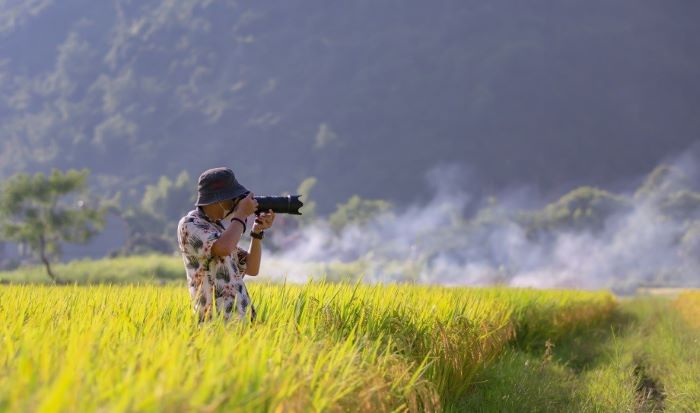 Thời điểm lý tưởng để chụp ảnh Hà Giang mùa lúa chín. 