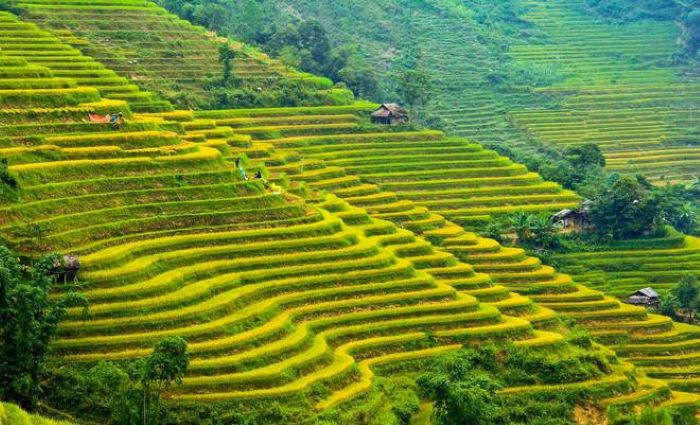 Khung cảnh Hoàng Su Phì - Hà Giang tháng 10.