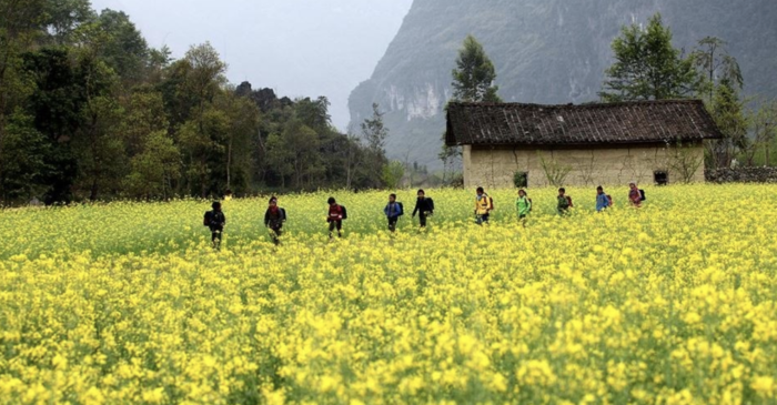 Thời điểm mùa hoa cải Hà Giang