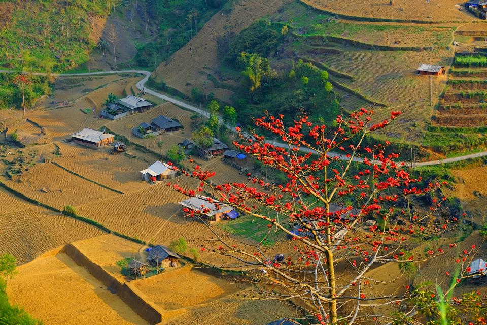 Tháng 3 - 4 là thời điểm Hà Giang bước vào mùa hoa gạo
