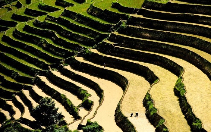Mùa nước đổ ở ruộng bậc thang Xín Mần.