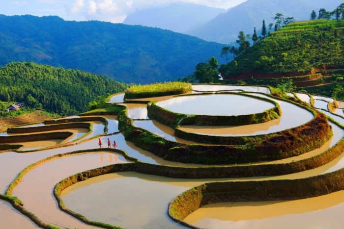Ruộng bậc thang Hoàng Su Phì mùa nước đổ.
