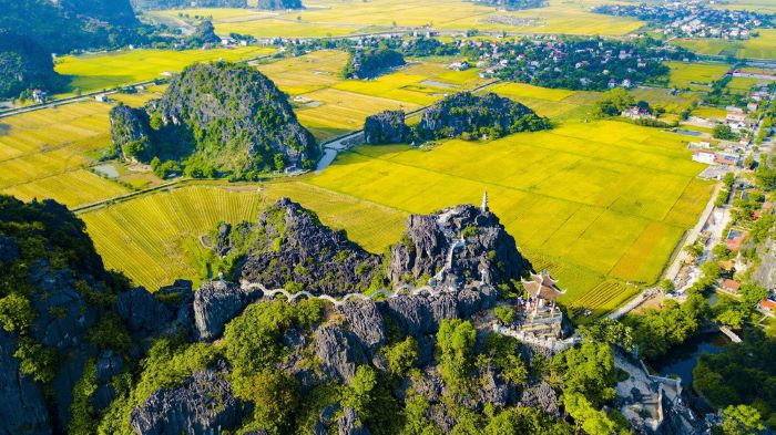 Vẻ đẹp mùa lúa chín nhìn từ Hang Múa.